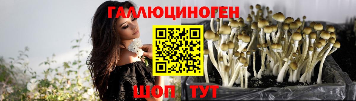 Галлюциногенные грибы ЛСД  даркнет сайт  Галлюциногенные грибы Cubensis  Кострома  Вход с VPN 